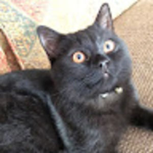 Meet your Posher, Lidia